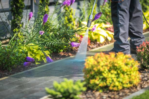 Reliable American Canyon, CA  Pressure Washing Services Solutions