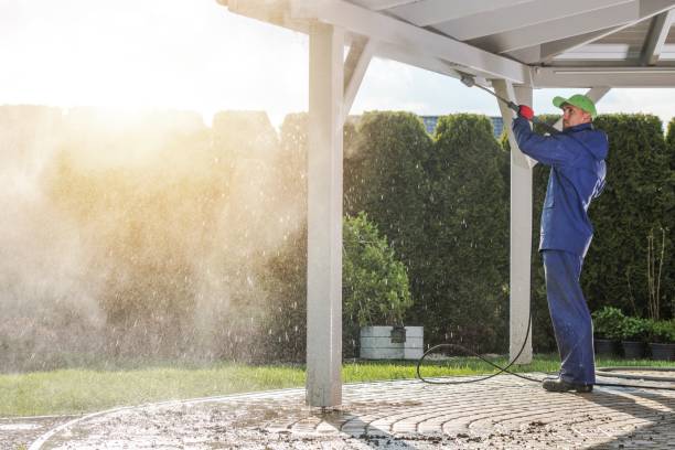 Best Driveway Pressure Washing  in Amerin Nyon, CA