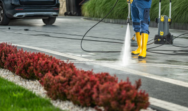 Best Patio and Deck Pressure Washing  in Amerin Nyon, CA
